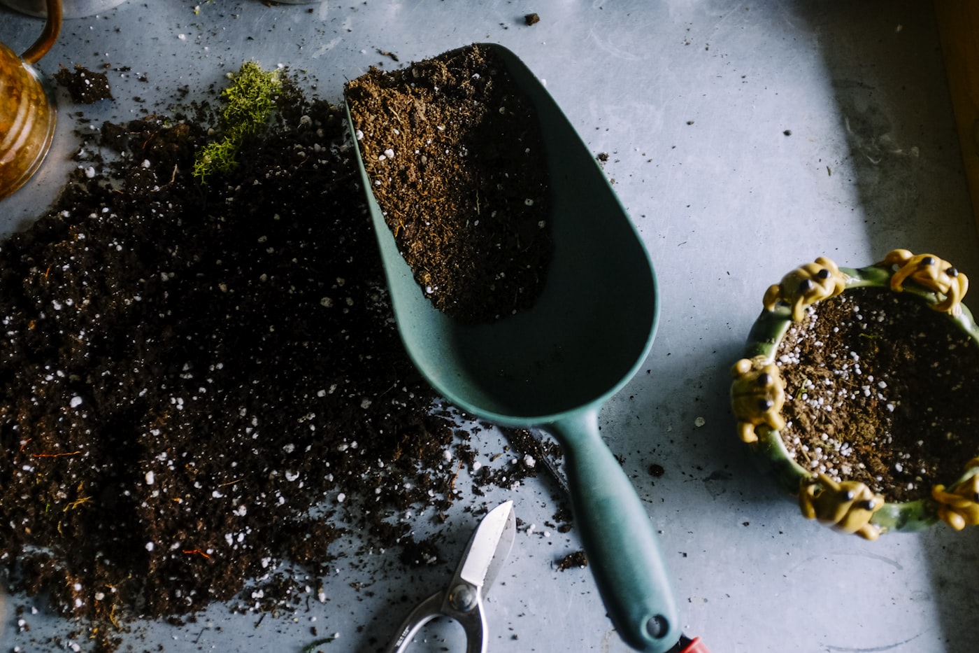 Gartenwerkzeug und Erde bei der Bepflanzung