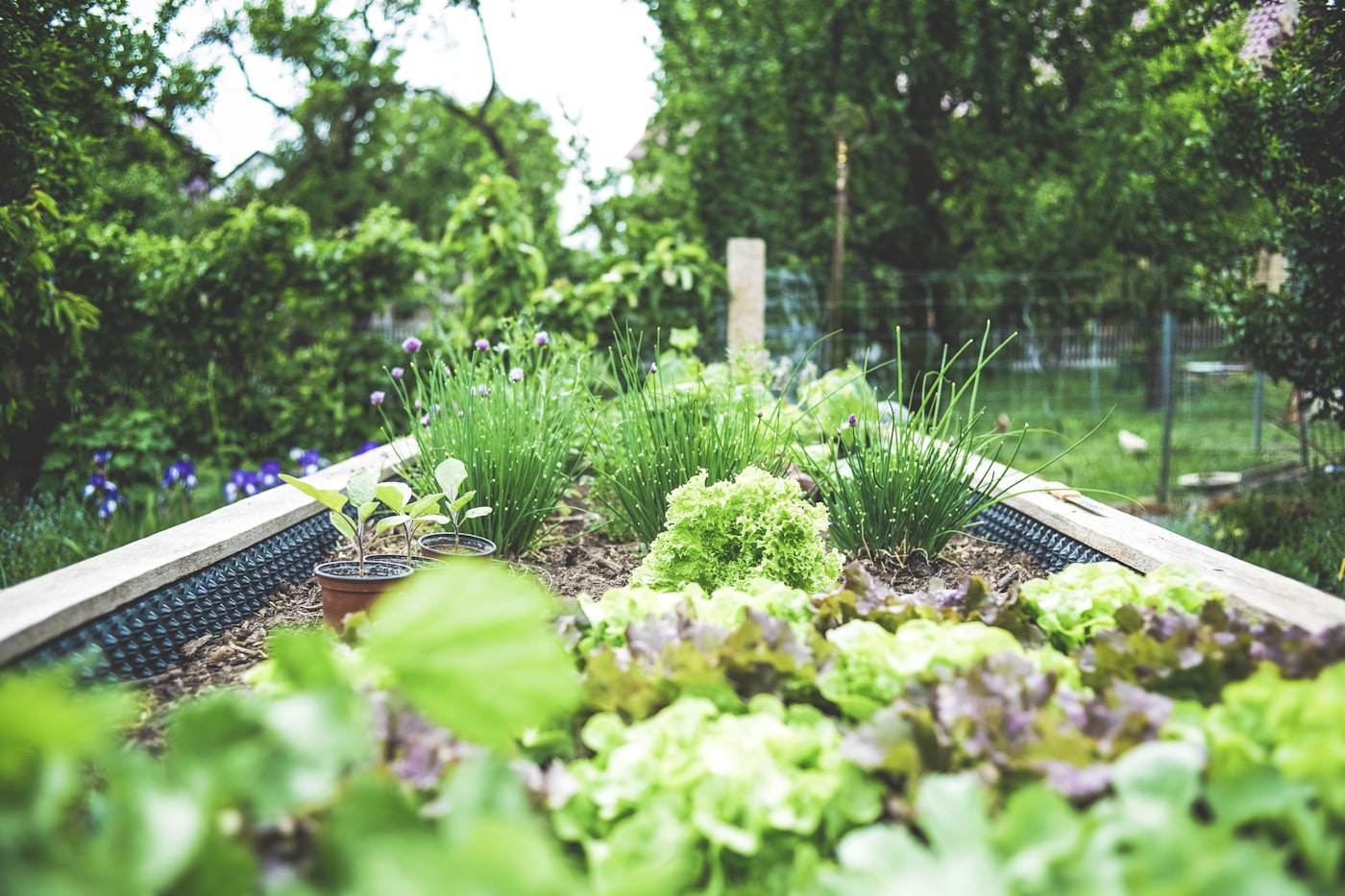 Angelegtes Hochbeet im gepflegten Garten von GrünForm